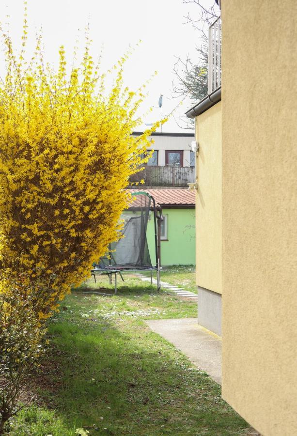 Small-Comfy Guest House In Donaustadt Garden - Not Shared! เวียนนา ภายนอก รูปภาพ